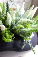 Mirenita, zielona dekoracja w antracytowej donicy