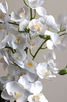 Rose Gold Etta, efektowny sztuczny storczyk