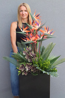 Strelicja Królewska Modern, sztuczna roślina w donicy fiberglass