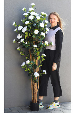 Kamelia, sztuczne drzewko, wys.180cm 