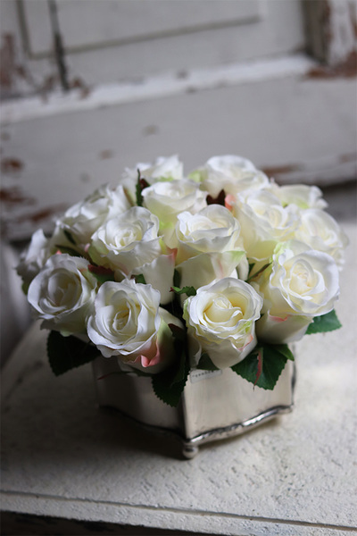 Amarenita, białe róże w cynowanym naczyniu