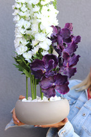 Mikso, nowoczesna dekoracja ze storczykiem i ostróżką, wym.60cm