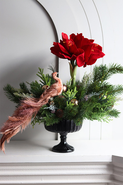 Amarylis&Paw, świąteczna kompozycja w pucharze