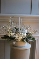 White Carol Lux, zimowa kompozycja w osłonce