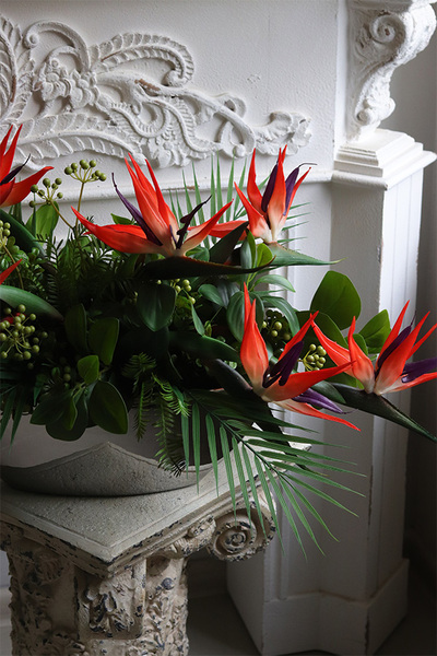 Strelicja Laos Silver, kompozycja w srebrnej donicy