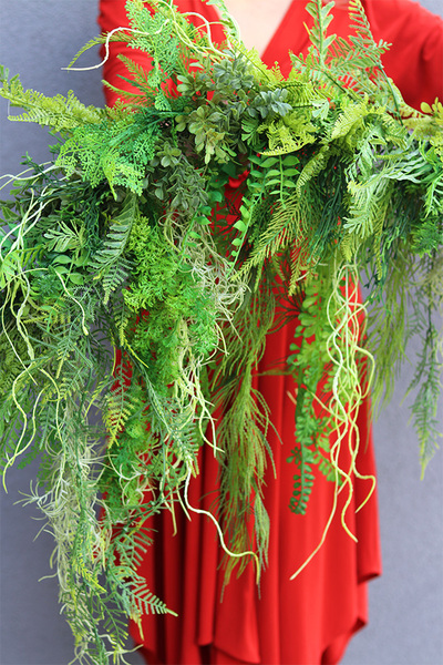 Veronea Greena, girlanda z zielonych zwisających pędów