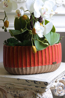 Helide Etnica, sztuczny storczyk w owalnej osłonce