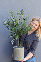 Drzewko Oliwne Bosco, sztuczna roślina w donicy