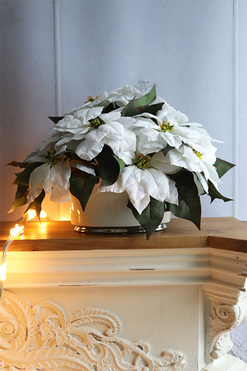 Simple, wysokiej jakości Biała Gwiazda Betlejemska, wym.37x52cm