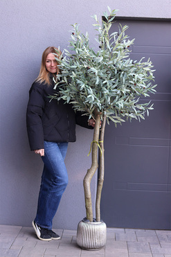Drzewko Oliwne Hilltonka 2, sztuczna roślina w srebrnej donicy, wys.203cm
