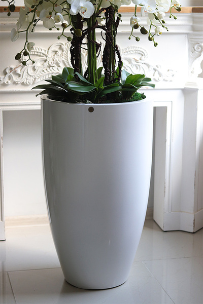 Grande Fiberglass Fenice 2, efektowny storczyk w białej donicy z fiberglass