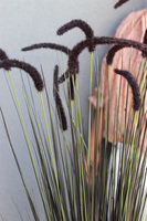 Black Lion, sztuczna czarna trawa w srebrnej donicy