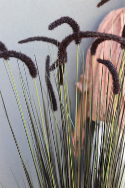 Black Lion, sztuczna czarna trawa w srebrnej donicy, wys.146cm