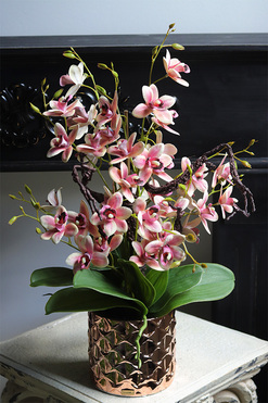 Cherry Nedera, różowy gumowy storczyk glamour, wys.56cm