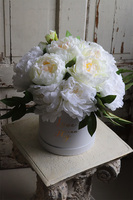 biały flowerbox z peoniami, Peonilla, wys.38cm