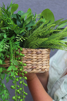 Usagi Cafe Green Basket, kompozycja z ziołami w koszu