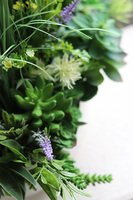 Laos Nrefrio, kompozycja trawy & sukulenty w białej donicy, wys.70cm