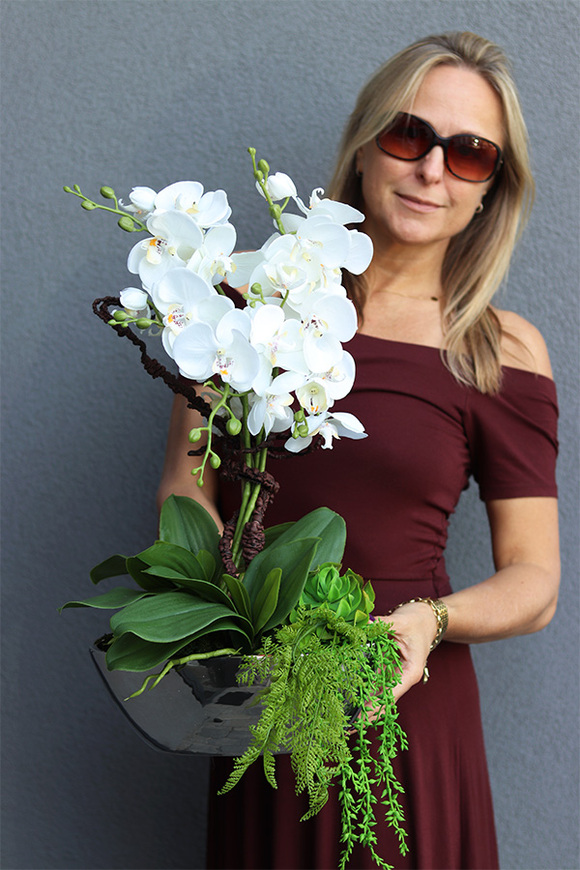 Laos Silver Leonito, sztuczny storczyk z sukulentami