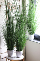 Bielloni Macarena, sztuczna trawa w donicy, wys.125cm 