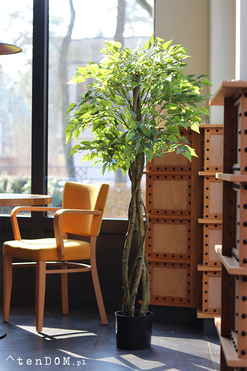 Brzoza, sztuczna roślina w doniczce, wys.165cm