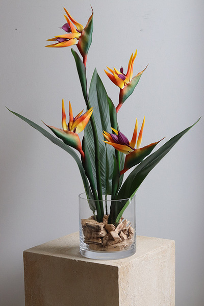 Strelicja Glassier, kompozycja ze strelicją w szkle