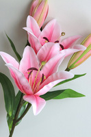 Lilia Różowa, gałązka sztucznej liliii