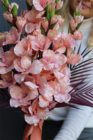 Mieczyki Mortario, bukiet nagrobny do położenia