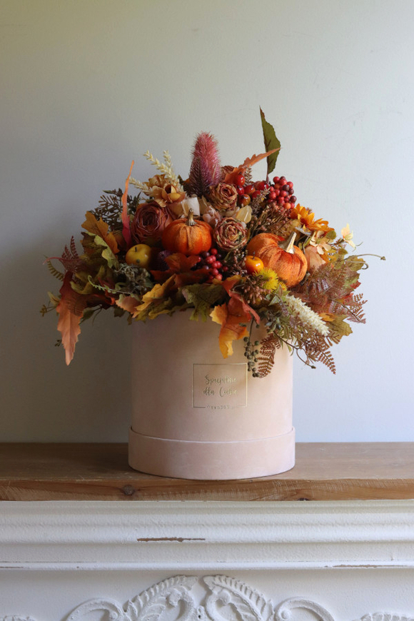 Moko Autumn 3, welurowy flowerbox jesienny	