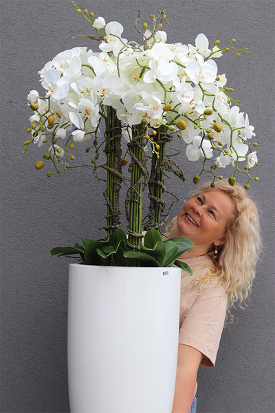 Fiberglass White Lux, efektowny storczyk w białej donicy z fiberglass, wys.118cm