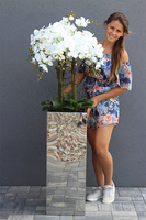 Moderno Mirror Galente, storczyk w metalowej donicy