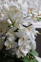 Gaina Black 2, wysokiej jakości sztuczny storczyk