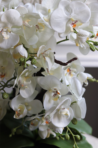 Gaina Black 2, wysokiej jakości sztuczny storczyk