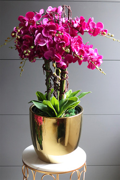 Fuksja Gold Deluxe, sztuczny storczyk w złotej donicy, wys.87cm