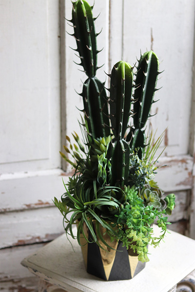 Cacti Black&Gold, sukulenty z kaktusem w czarnej donicy, wys.67cm