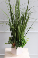 Berusto Design, sztuczna trawa z sukulentami w białej donicy, wys.94cm