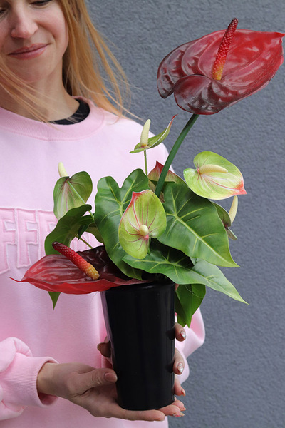 Clear Design Carmen, komplet dekoracji nagrobnych