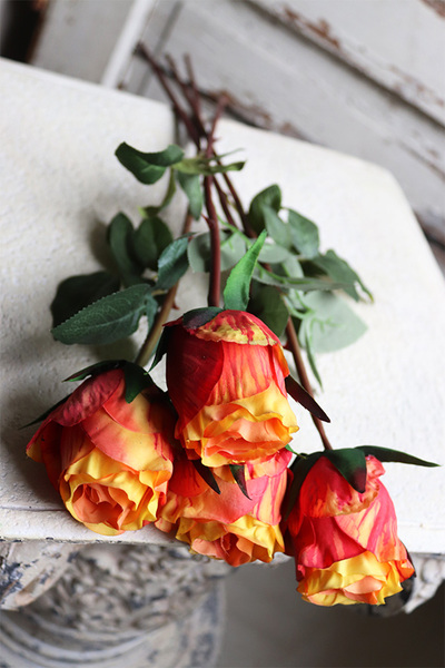 bukiet róż, Premiolla, pomarańczowe, 4szt, dł.52cm