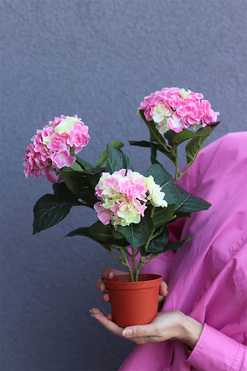 doniczkowa hortensja Różowo-Żółta, wysokiej jakości sztuczne kwiaty, wys.40cm 