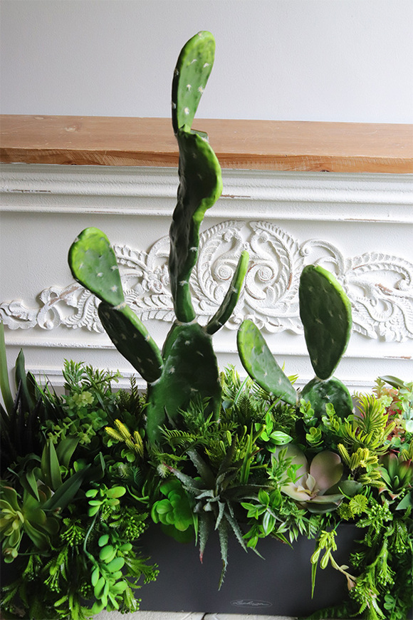 Opuncja Blaconera Cacti, sukulenty z kaktusem w szarej donicy