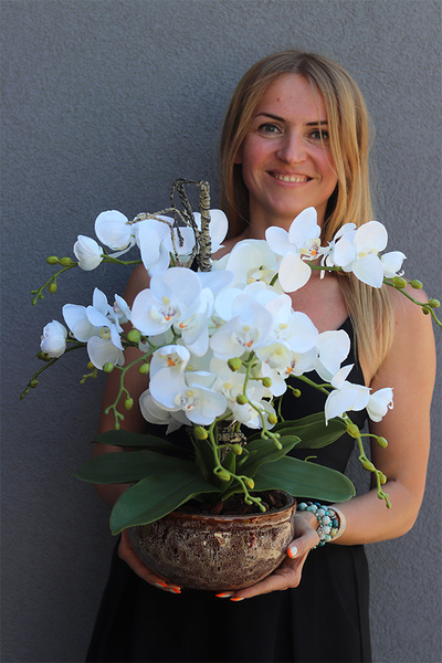 Ceramic House 3, sztuczny storczyk w ozdobnej misie