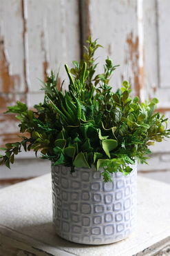 Minimalism White, kompozycja sukulenty w białej donicy, wys.27cm