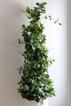New Green Grande, drzewko sztuczne kolumnowe w donicy, wys.205cm