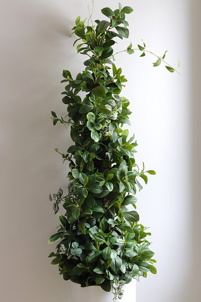 New Green Grande, drzewko sztuczne kolumnowe w donicy