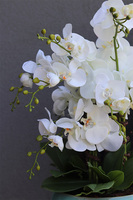 Quemada Turkus, sztuczny storczyk w ozdobnej misie