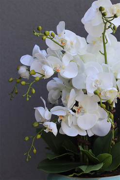 Quemada Turkus, sztuczny storczyk w ozdobnej misie, wys.55cm