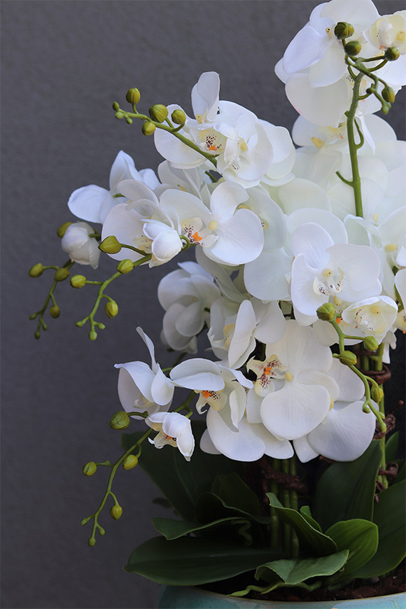 Quemada Turkus, sztuczny storczyk w ozdobnej misie