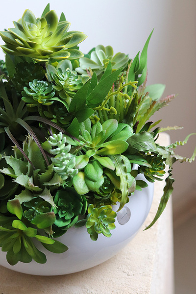 Green Betra Piano 2, kompozycja sukulenty w okrągłej donicy
