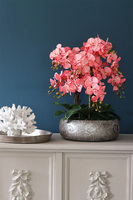 Koralovy, różowy storczyk w metalowej misie, wys.68cm