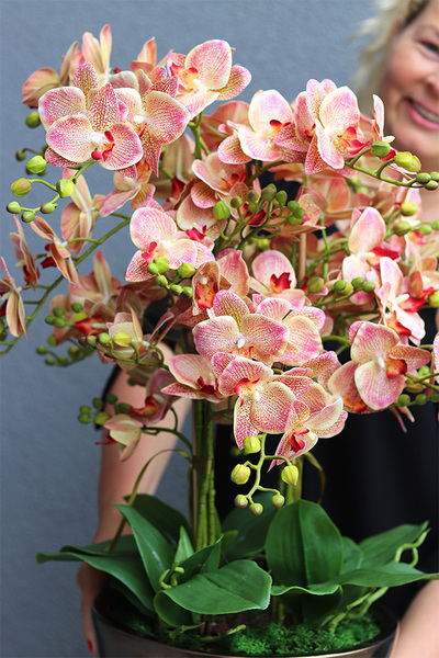 Granada Monaco Trendy gumowe storczyki w niebieskiej donicy dwa