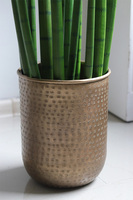 Sansewieria Gold, roślina sztuczna w ceramicznej donicy